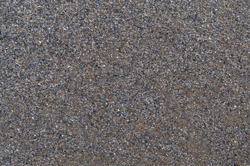 Shredded shells background of seashore.