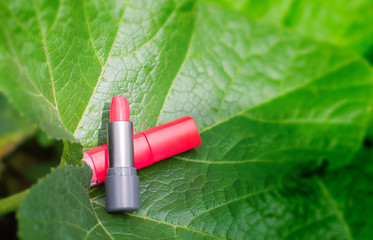 Organic cosmetic, selective focus of lipstick on green leaf with copy space.