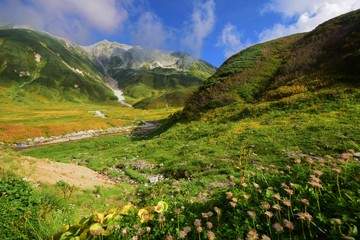 Fototapeta na wymiar Tateyama alpine　~ the beginning of autumn ~