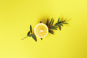 Eucalyptus branch and half a lemon on bright yellow background. Top view