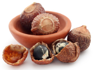 Sapindus mukorossi or Indian soapberry