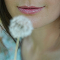 lips and dandelion woman large. woman  with a dandelion in the meadow, close-up