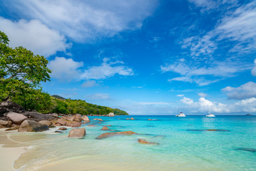 Fototapeta na wymiar Beautiful sandy beach with turquoise sea on Seychelles