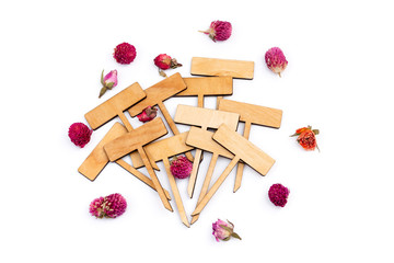 wooden signs and tea flowers on a white background