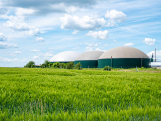 Biogasanlage in Deutschland mit Getreidefeld - obrazy, fototapety, plakaty