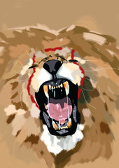 lion 