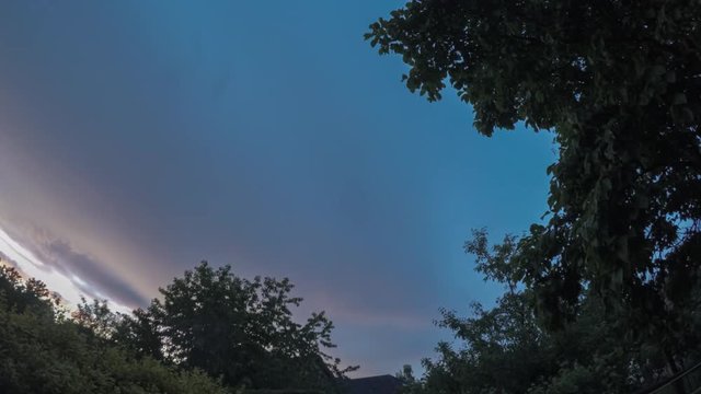 Time-lapse summer dusk blue and violet sky with the silhouette tree without wind in suburban of small town