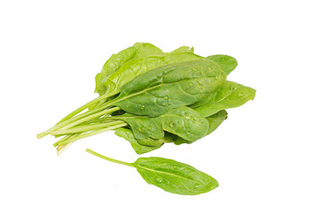 fresh spinach leaves isolated on white background