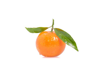 Mandarin, tangerine citrus fruit isolated on white background