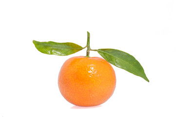 Mandarin, tangerine citrus fruit isolated on white background