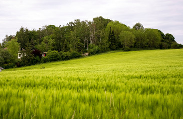 beautiful, background, autumn, scenery, germany, view, fall, countryside, alpine, church, landscape, bavaria, rural, scenic, country, mountain, idyllic, magnificent, nature, bavarian, sky, morning, la