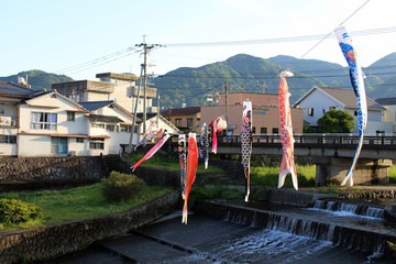 Japanese koinobori flying koi carp fish in Beppu during Golden Week