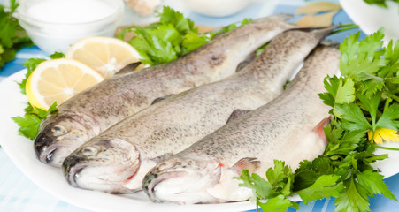 trout wiyh Lemon, parsley lying on the plate