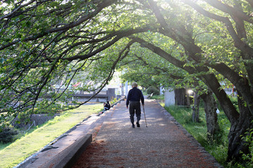 An old man with cane enjoying walk at one park in Beppu