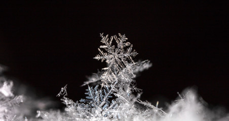 natural snowflakes on snow, winter