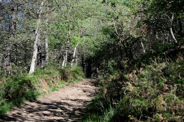 Gorbea Natural Park, Alava (Basque Country)/Spain; 01-06-2019: Path of Pastorate GR-282.