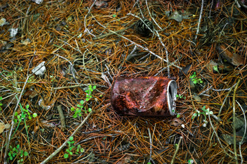 Old rusty beverage can in the grass