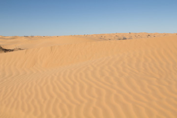 Patterns in the sand formed by the wind and a little vegetation in the dunes of the Northern Sahara desert in Tunisia