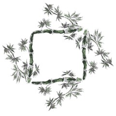 green bamboo frame on white background