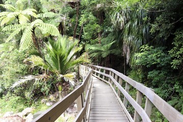 A wooden bridge leading to Wainui falls, New Zealand