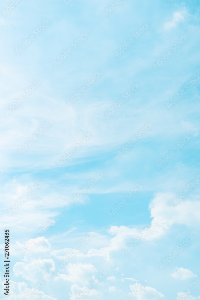 Canvas Prints vertical frame spring and summer season with beauty clear and bright sky and cloudy background with 