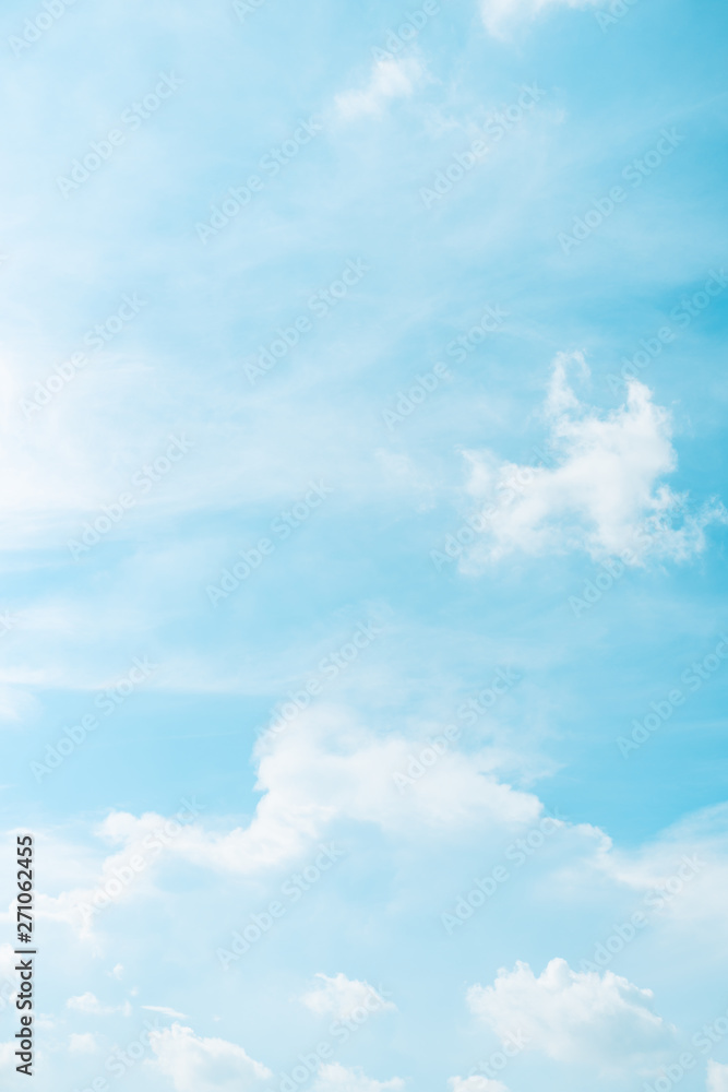 Canvas Prints vertical frame spring and summer season with beauty clear and bright sky and cloudy background with 