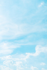 vertical frame spring and summer season with beauty clear and bright sky and cloudy background with copy space