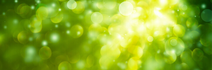 Fototapeta na wymiar Green bokeh blur background / Circle light on green background.