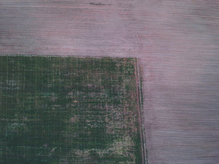 Separation of sown and non sown fields view from height