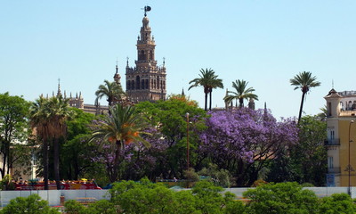 Fototapeta na wymiar The Cathedral From Triana, Sevilla