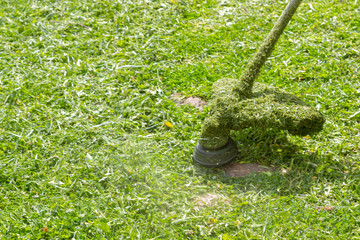 Trimer mow the grass in the suburban area outside the city in the summer