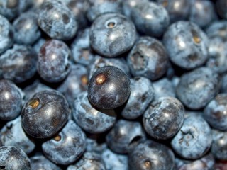Macro of a pile of fresh ripe blueberries