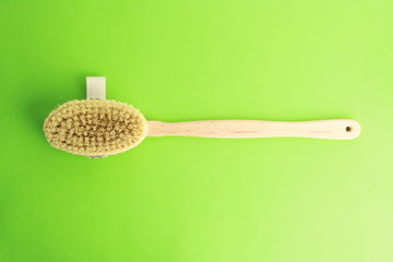 shower brush for the back