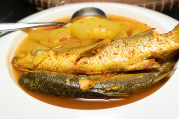 Mullet Fish Curry Orange in White dish Thai Southern food