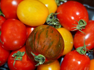 Pile of cocktail tomatoes in red and yellow