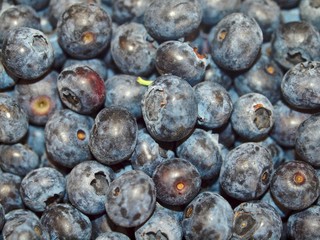 Macro of a pile of fresh ripe blueberries