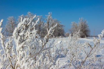 winter landscape with lake and snow