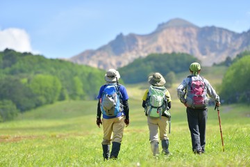 初夏のトレッキング・高原を歩くハイカー