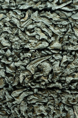 Old Wood texture for Background.