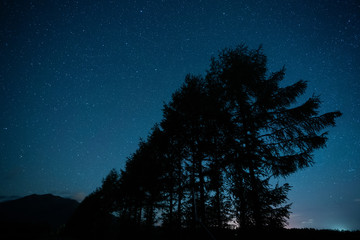 Fototapeta premium 星と防風林