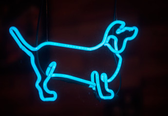 neon sign in the shape of a dog
