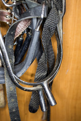 Fototapeta na wymiar Three pairs of different metal spurs, rubberized with straps for attaching close-ups