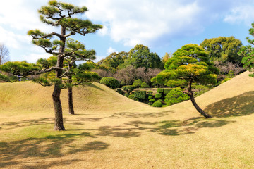 Fototapeta premium Traditional Artistic Japanese Garden in Kumamoto, Kyushu, Japan