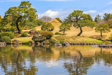 Japanese Garden Art with Mt Fuji and Pine Trees in Kumamoto, Kyushu, Japan