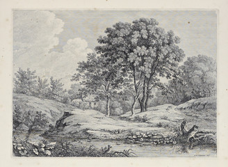 Trees