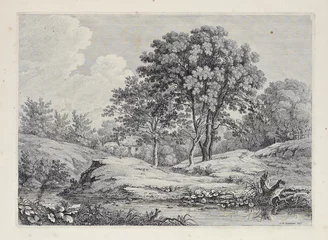 Gordijnen Bomen © ruskpp
