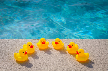 Fototapeta na wymiar fun, humorous shot of identical yellow plastic ducks arranged in an arc - Duck Chorus