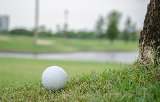 .White golf ball on the green lawn Outdoor sports concept Blurred background image
