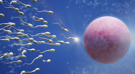 3d rendering Sperm and egg cell  science content.