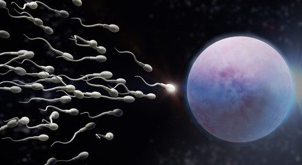 Naklejka premium 3d rendering Sperm and egg cell science content.